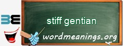 WordMeaning blackboard for stiff gentian